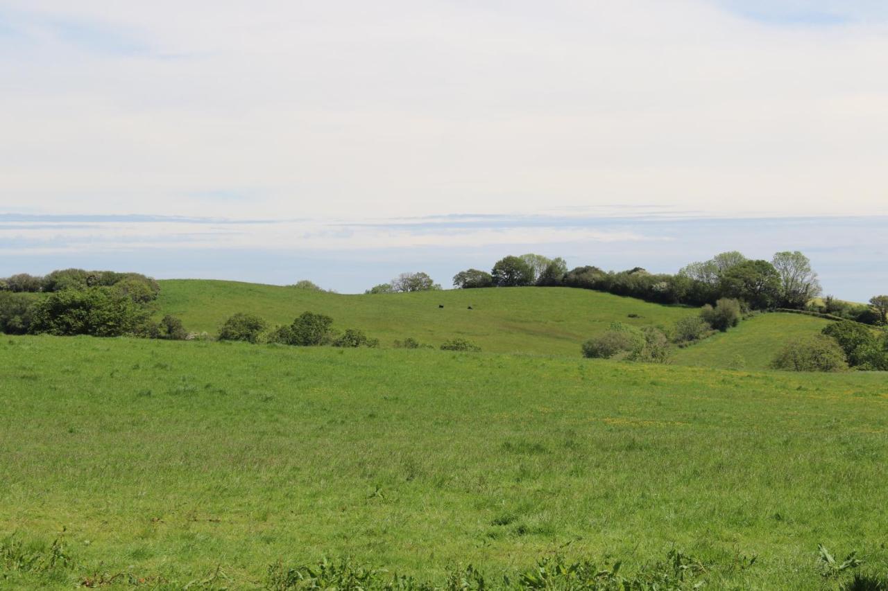 Knapp Farm Glamping Lodge 1 Corscombe Bagian luar foto